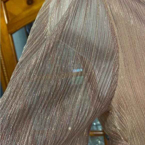 Sophia Vergara Womens Metallic Semi Sheer Blouse NWT size XS - Picture 4 of 7
